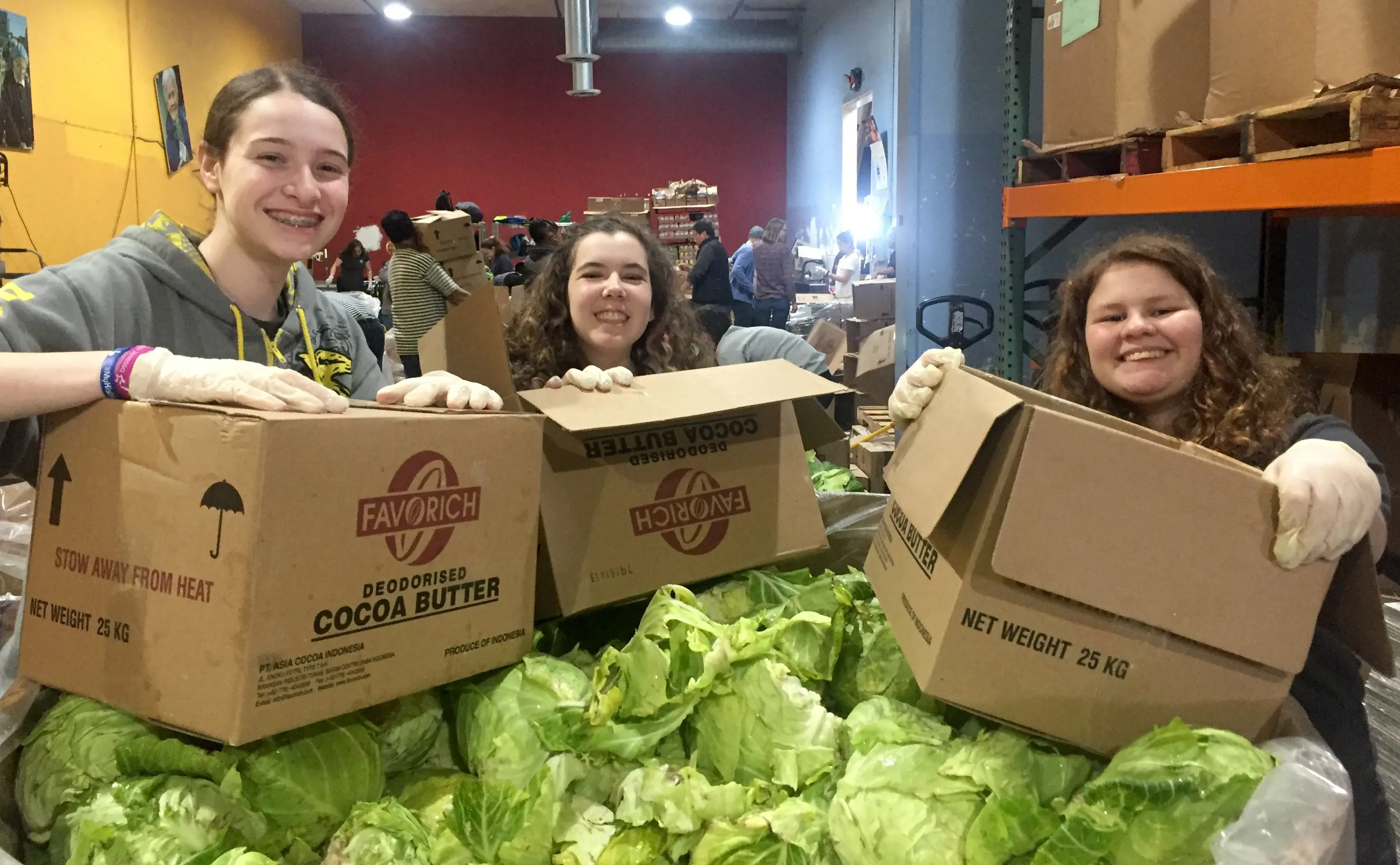 OptimizedImage,,,Optimized