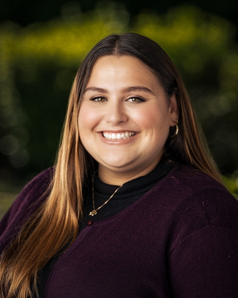 OriginalImage,,,Original