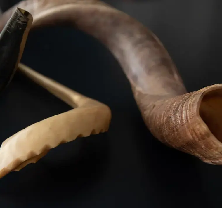 Rosh Hashannah Ram Horns